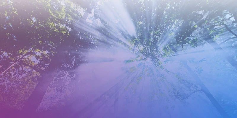Why You Aren't Seeing The Benefits Of Cloud Computing